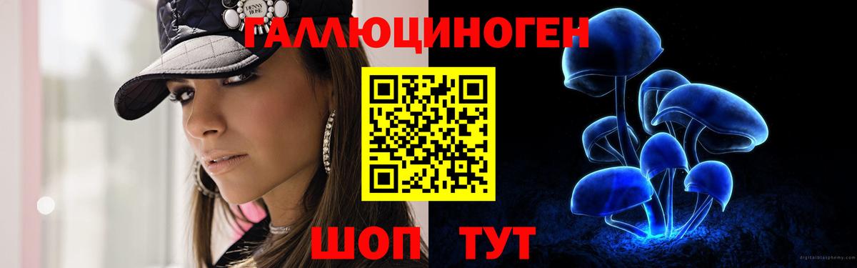 Галлюциногенные грибы Psilocybe  Вход с VPN  Астрахань 